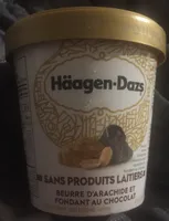 Sans produits laitiers Beurre d'arachide et fondant au chocolat