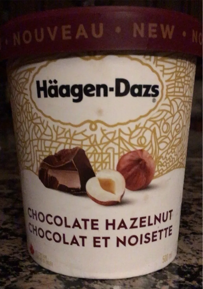 Chocolate hazelnut ice cream