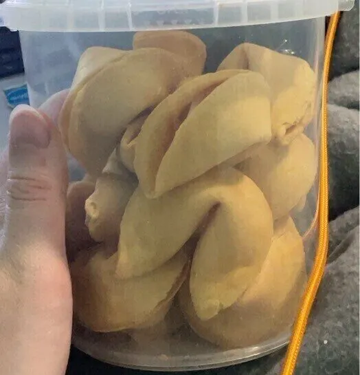 fortune cookies