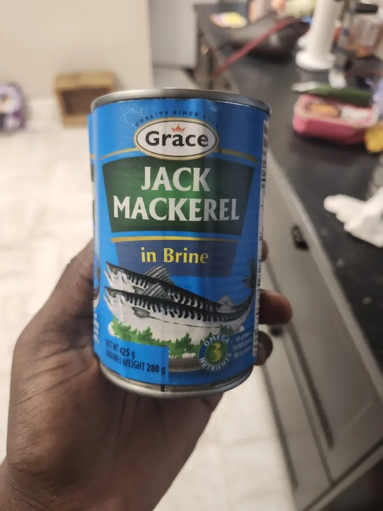 Jack Mackerel
