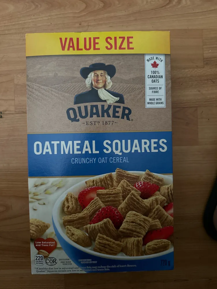OATMEAL SQUARES