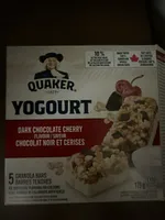 Yogourt Granola Bar