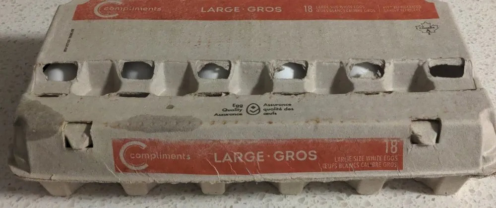 Large eggs