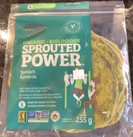 Spinach Tortillas