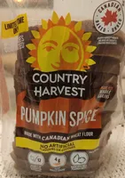 Pumpkin Spice Bread