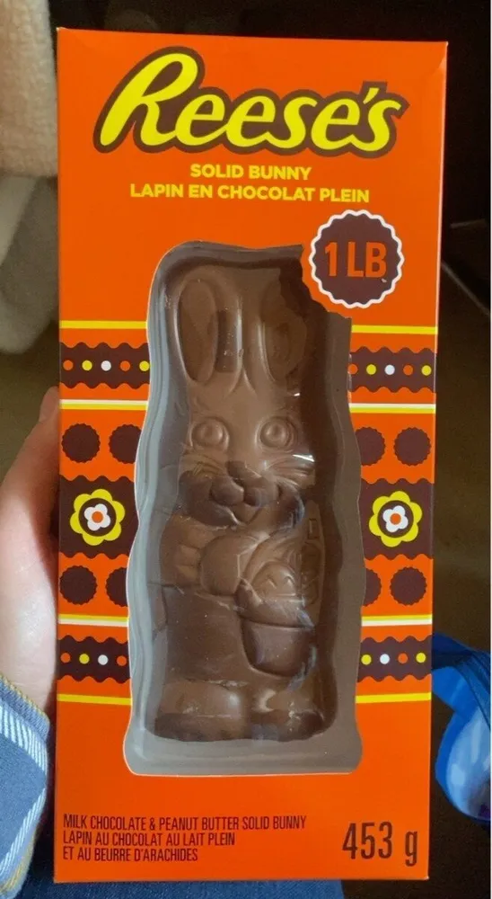 Solid bunny