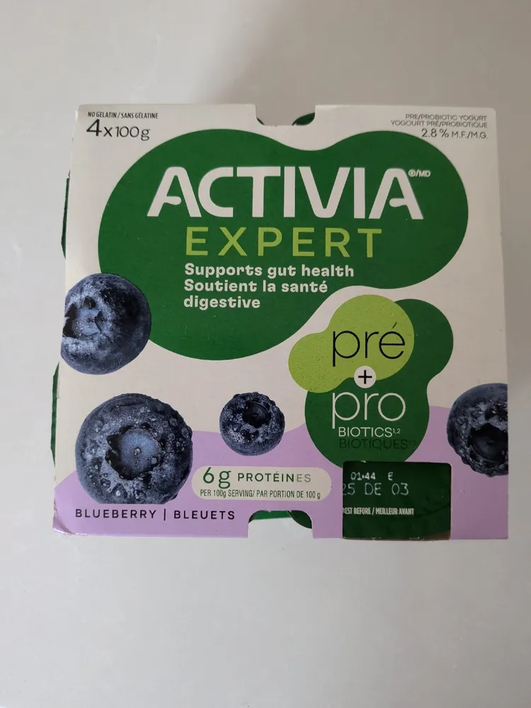 Expert Yogurt, Blueberry