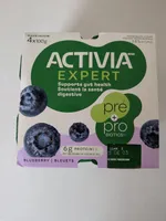 Expert Yogurt, Blueberry