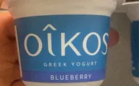 blueberry greek yogurt