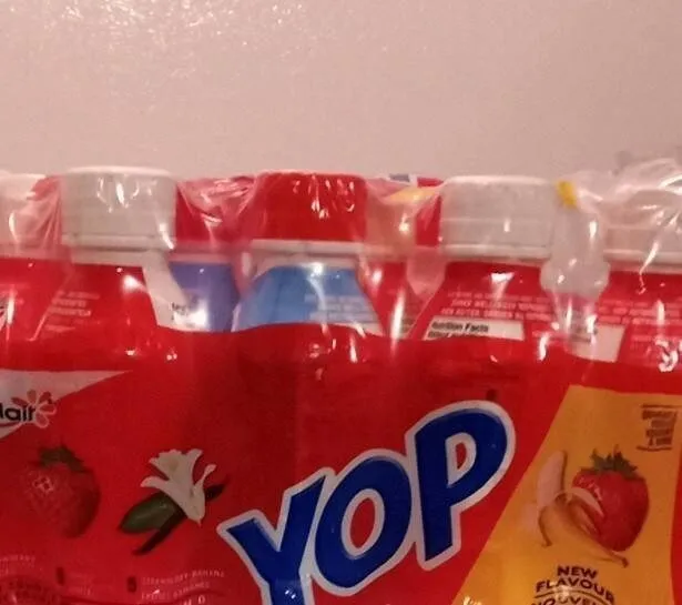 Yogourt