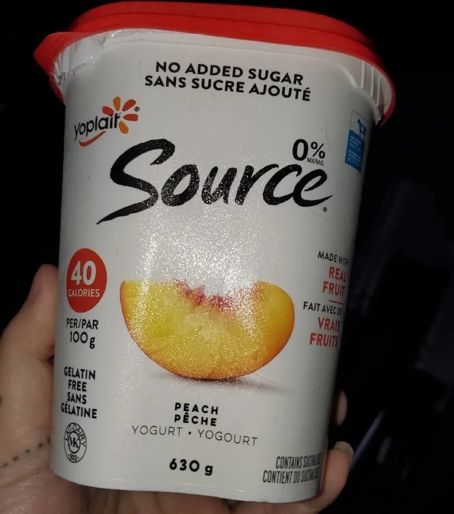 Yogourt