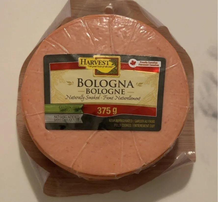 Bologna