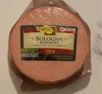 Bologna