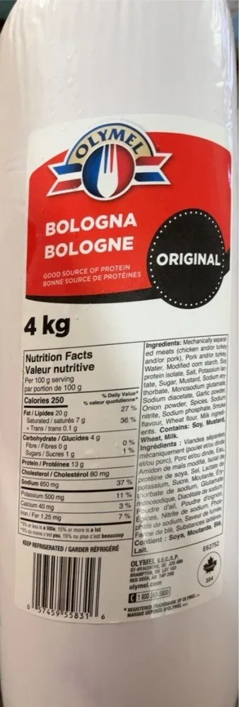 Bologna