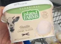 Vanilla ice cream