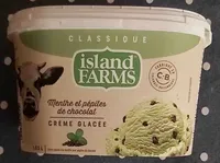 Chocolate Chip Mint Ice Cream