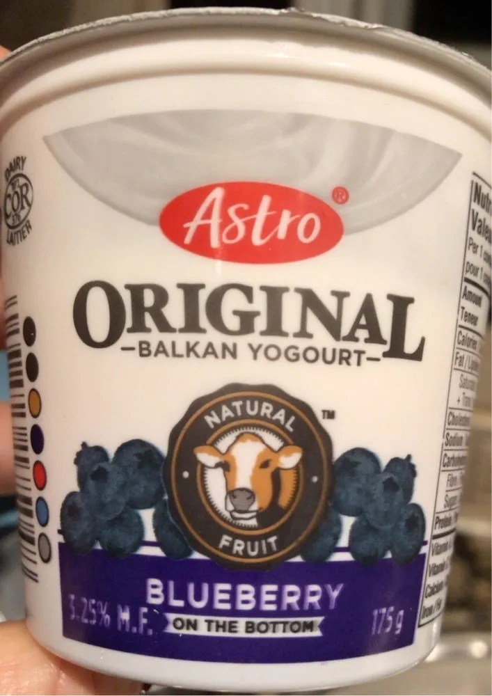 Balcan yogourt