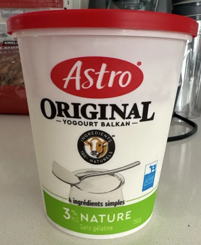 Astro Original 3% Plain Dahi (yogourt)