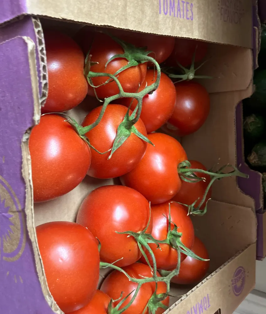 Tomatoes