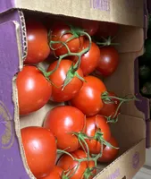 Tomatoes