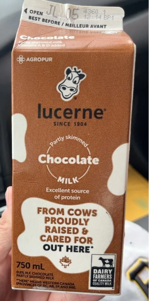 Chocolate Milk