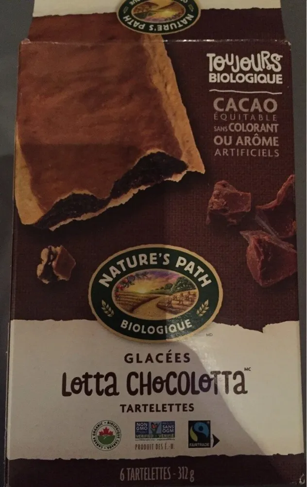 Frosted Lotta Chocolotta Toaster Pastries