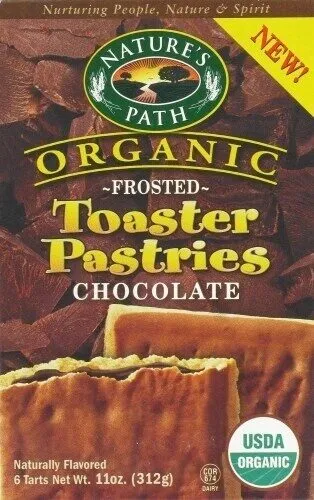 Frosted Lotta Chocolotta Toaster Pastries