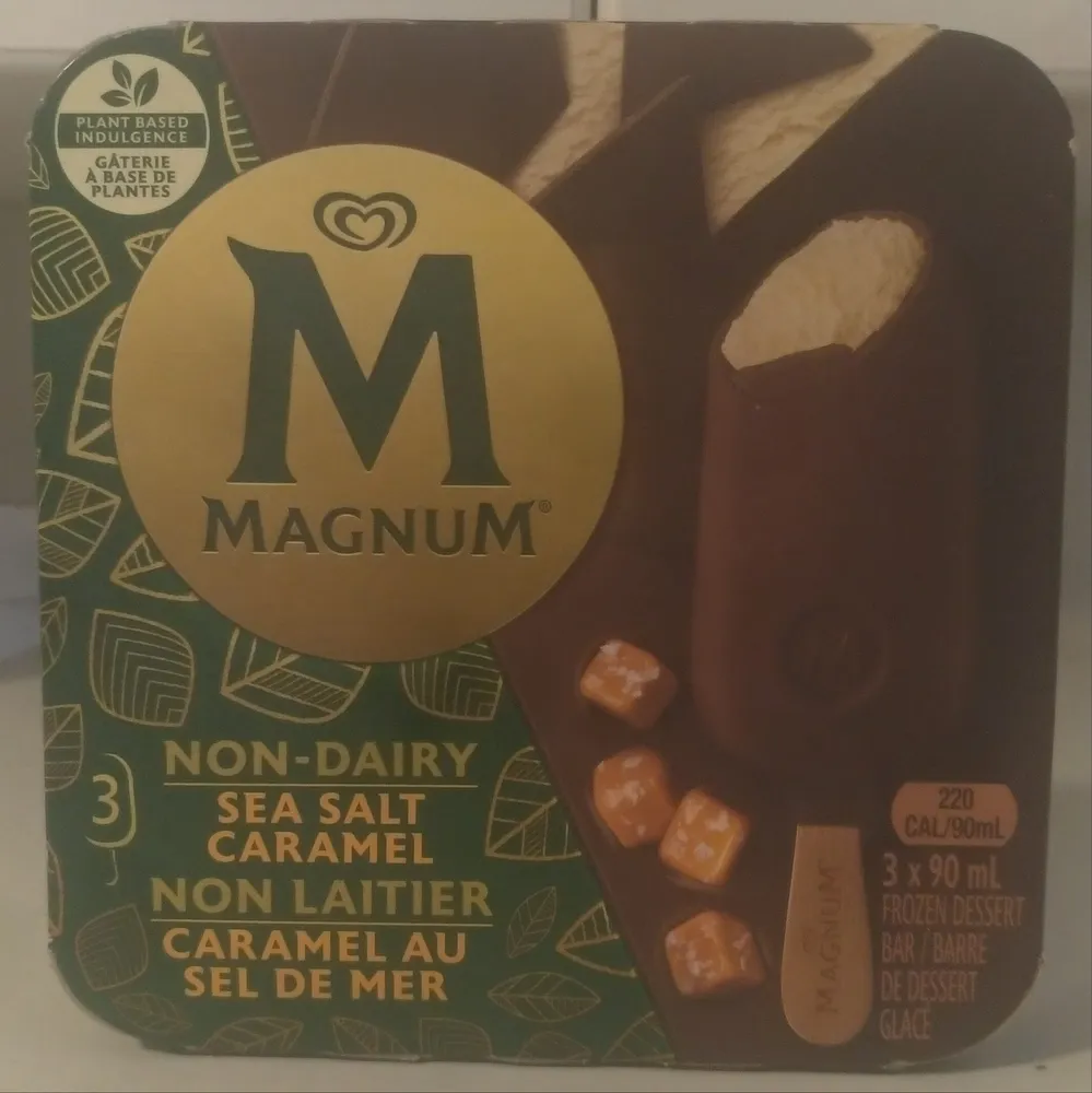 Non-Dairy Sea Salt Caramel Frozen Dessert Bar