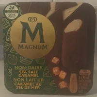 Non-Dairy Sea Salt Caramel Frozen Dessert Bar