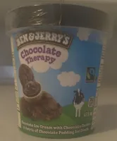 Chocolate Therapy Ice Cream