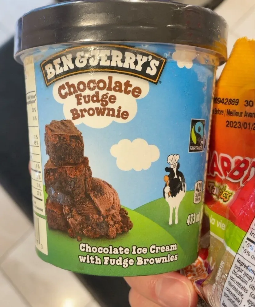 Chocolate Fudge Brownie