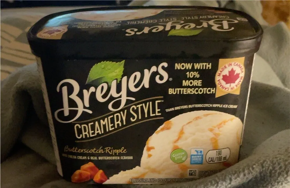 Creamery Style Butterscotch Ripple Ice Cream