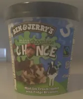 Mint Chocolate Chance Ice Cream