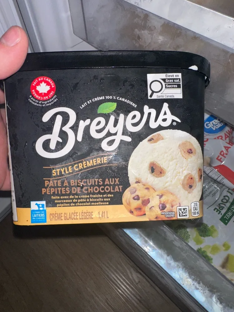 Chocolate Chip Cookie Dough Ice Cream