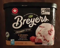 Caramel Fudge Ice Cream