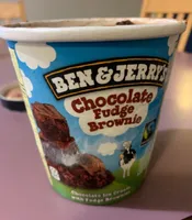Chocolate Fudge Brownie Ice Crea