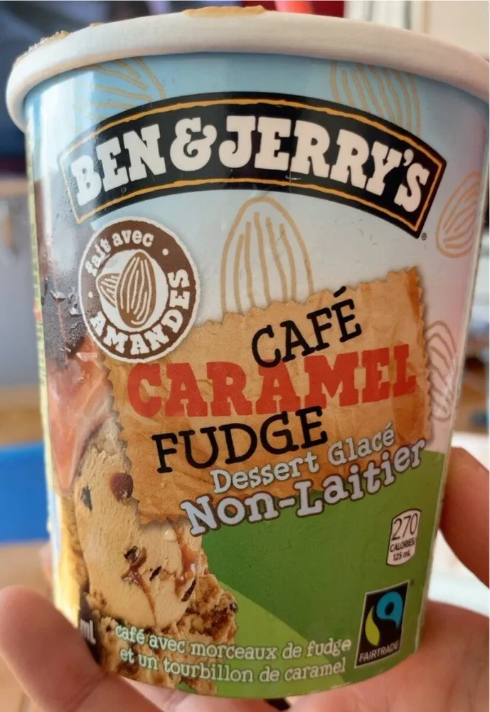 Non dairy ice cream