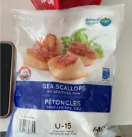 Sea scallops