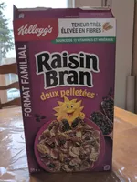 Two Scoops Raisin Bran