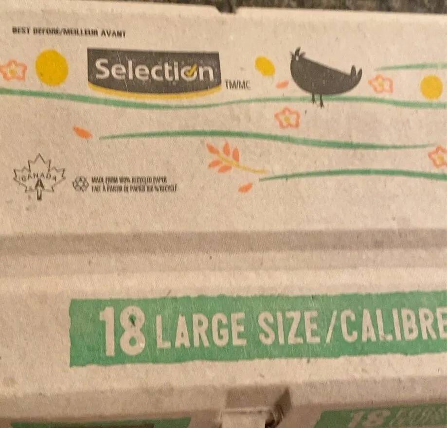 18 Large Chicken Eggs
