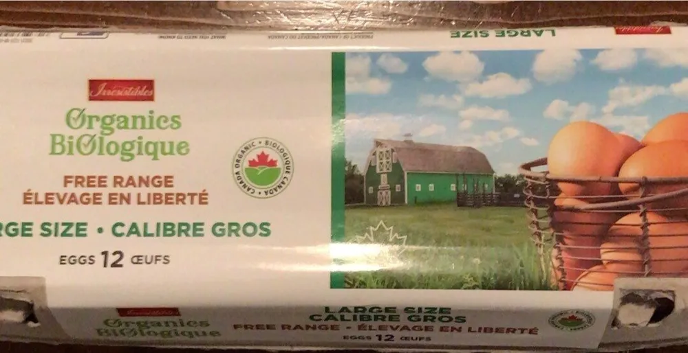 Oeufs élevage en liberté