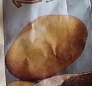 Yellow Flesh Potatoes