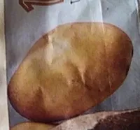 Yellow Flesh Potatoes