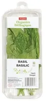Basilic biologique