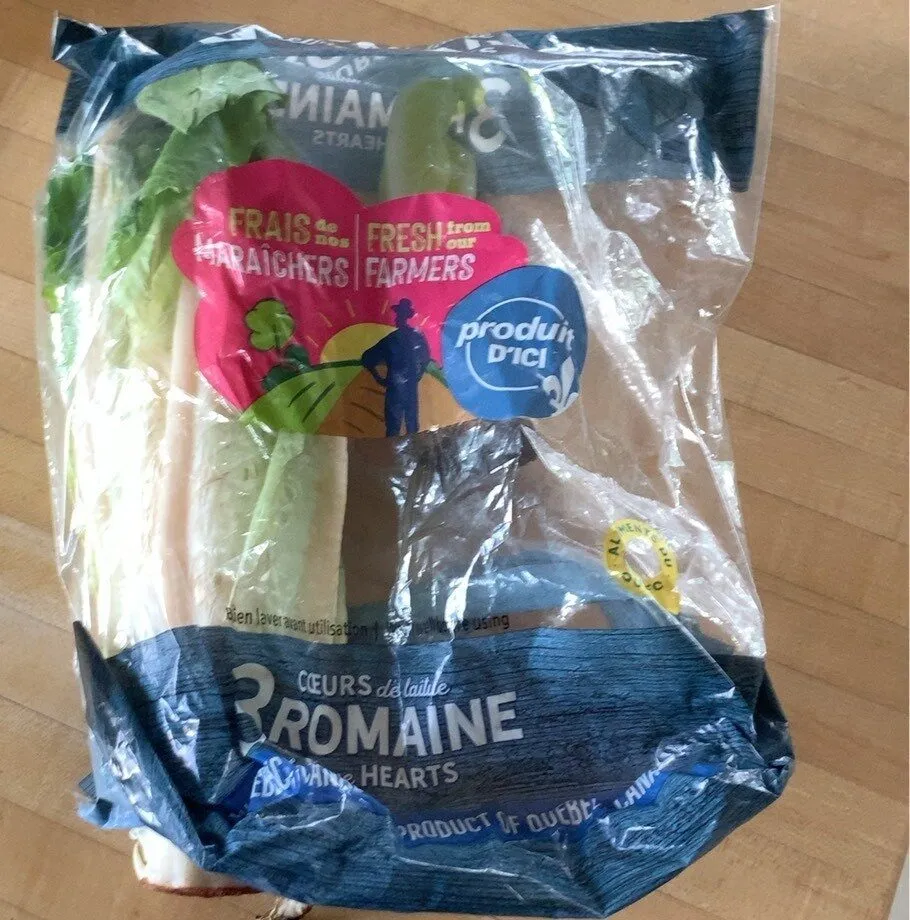 Coeur de laitue romaine