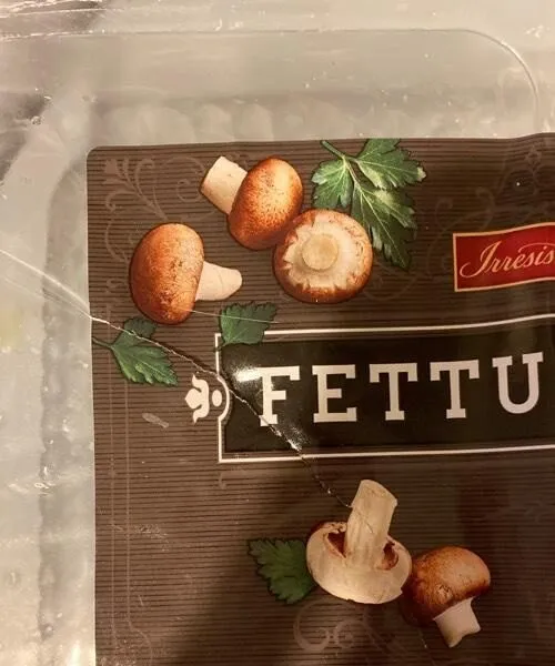 Fettuccini