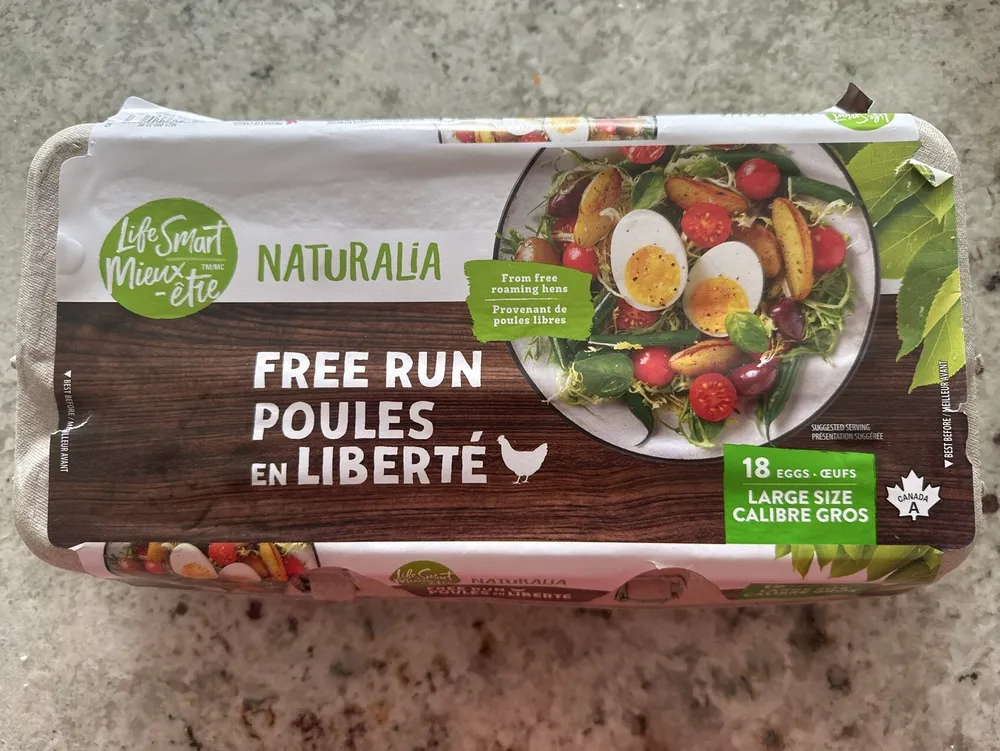 Free Run Large Eggs
