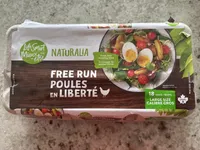 Free Run Large Eggs