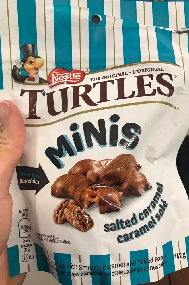 Turtles Mini