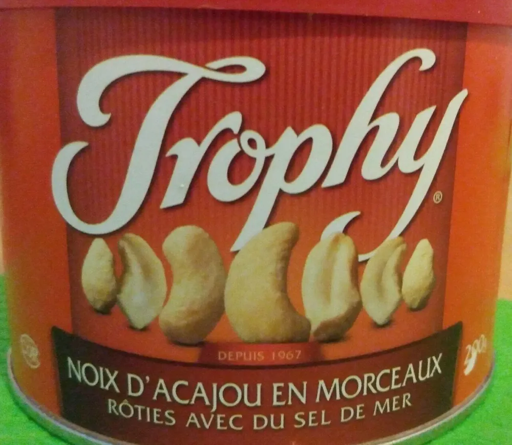Noix d'acajou en morceaux rôties avec du sel de mer